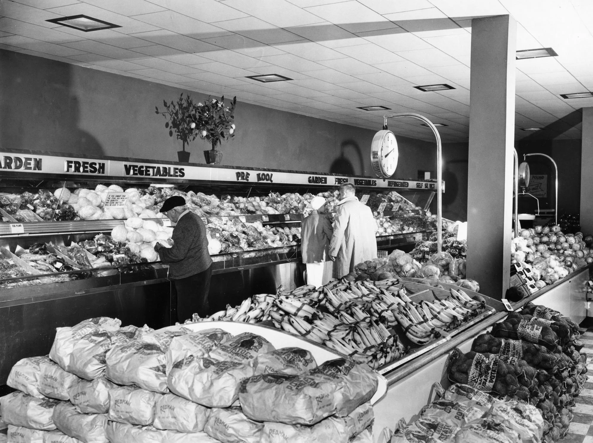 The Fillery: A Zero-Waste Grocery Store