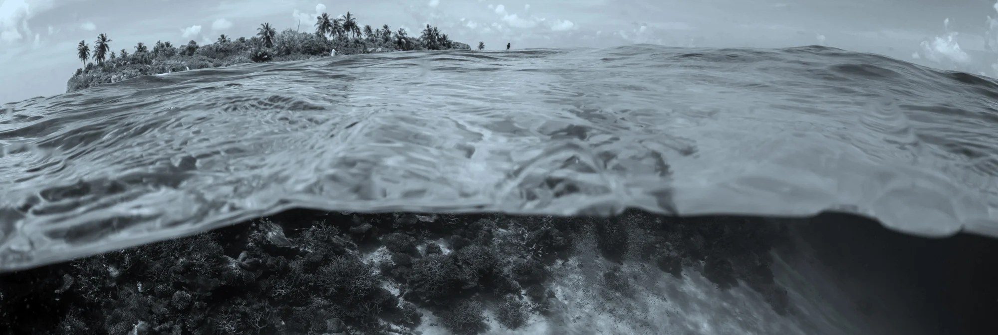 September: A Month for the Oceans 