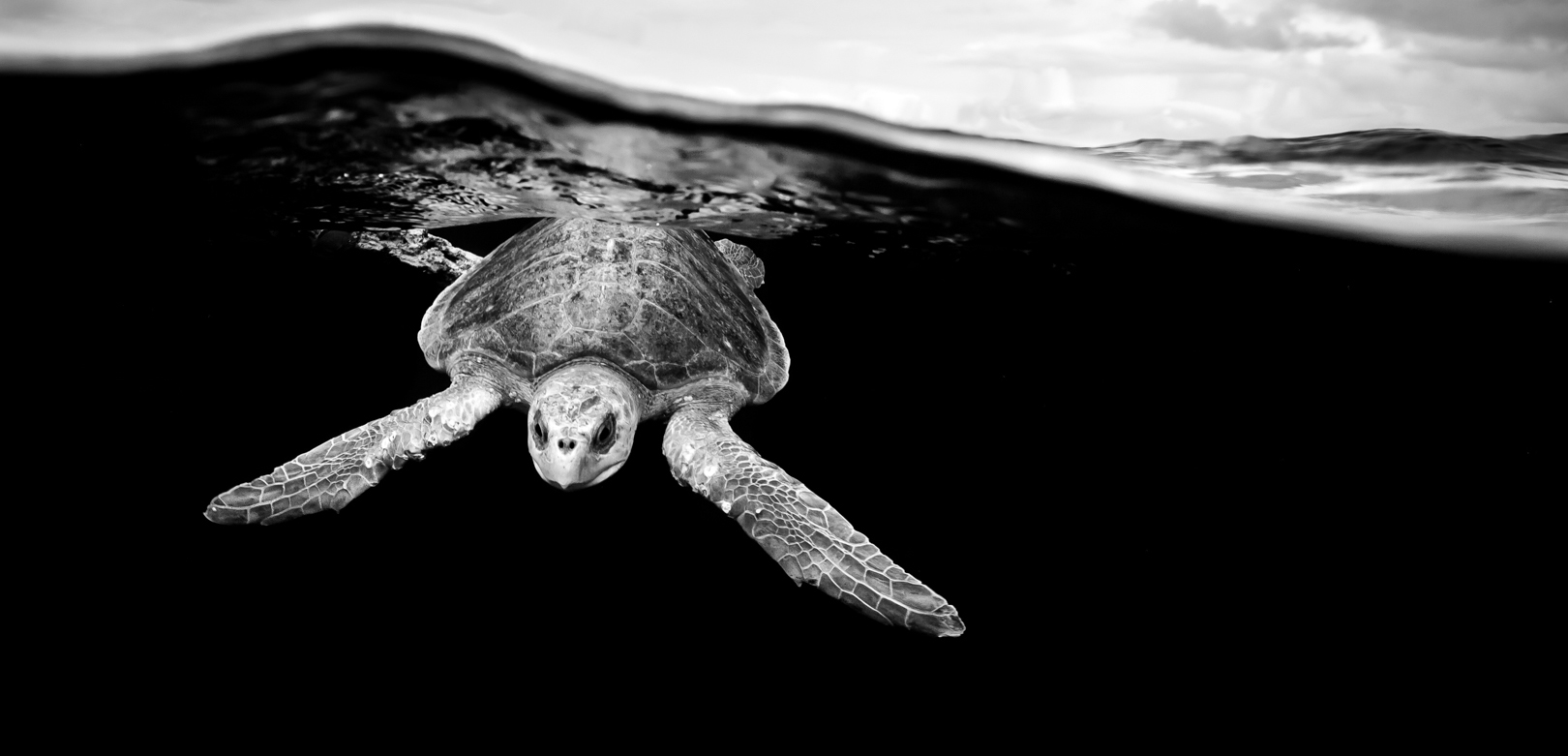 Black and White: The Visual Poetry of the Sea