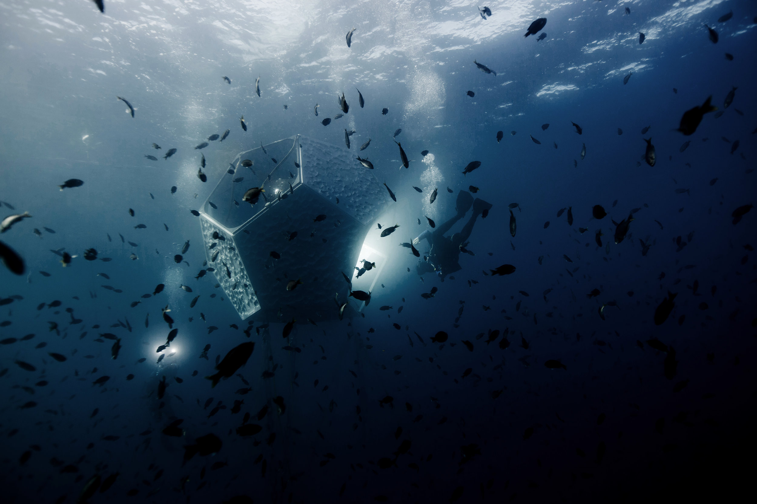 parley for the oceans