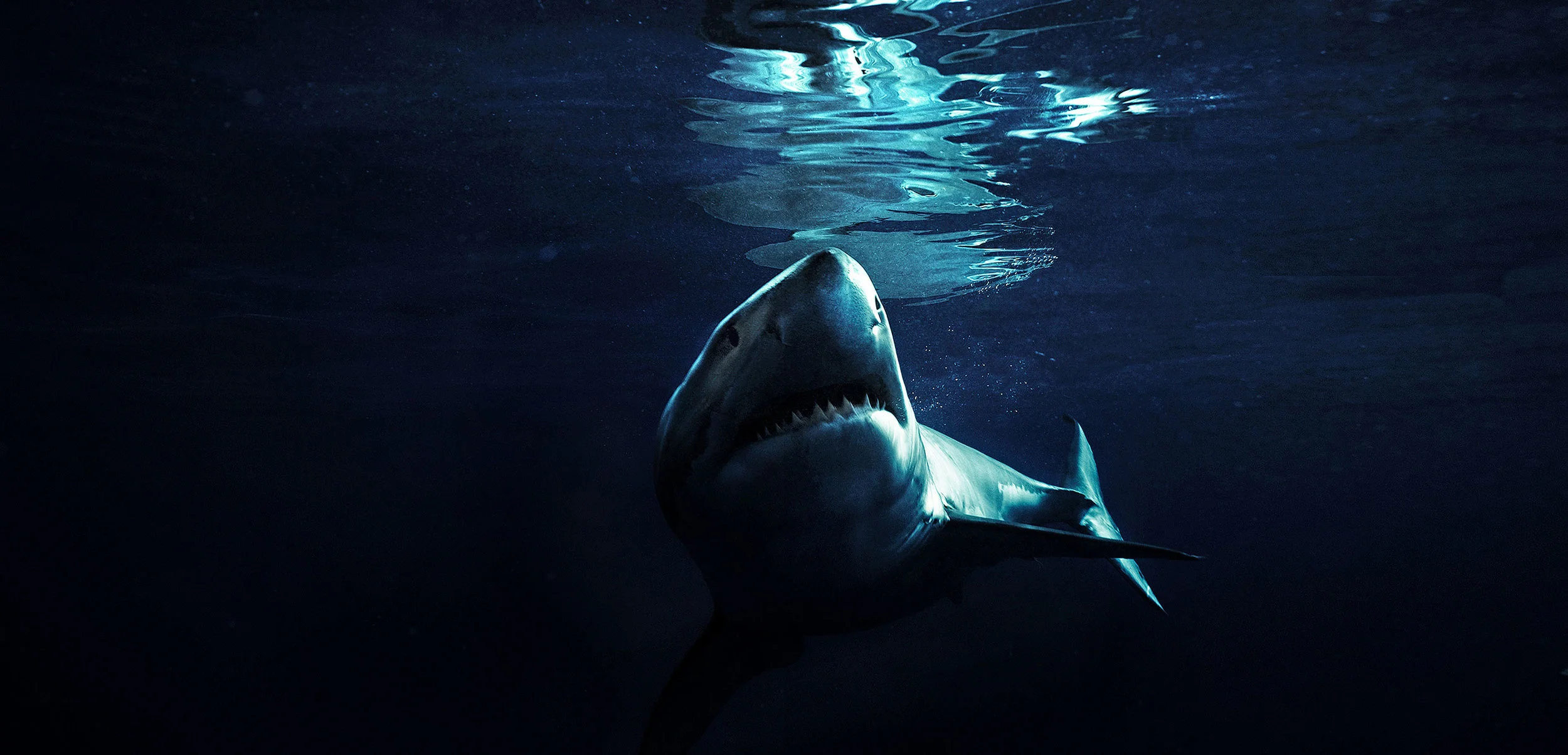 Michael Muller's Antidote to the Jaws Effect 