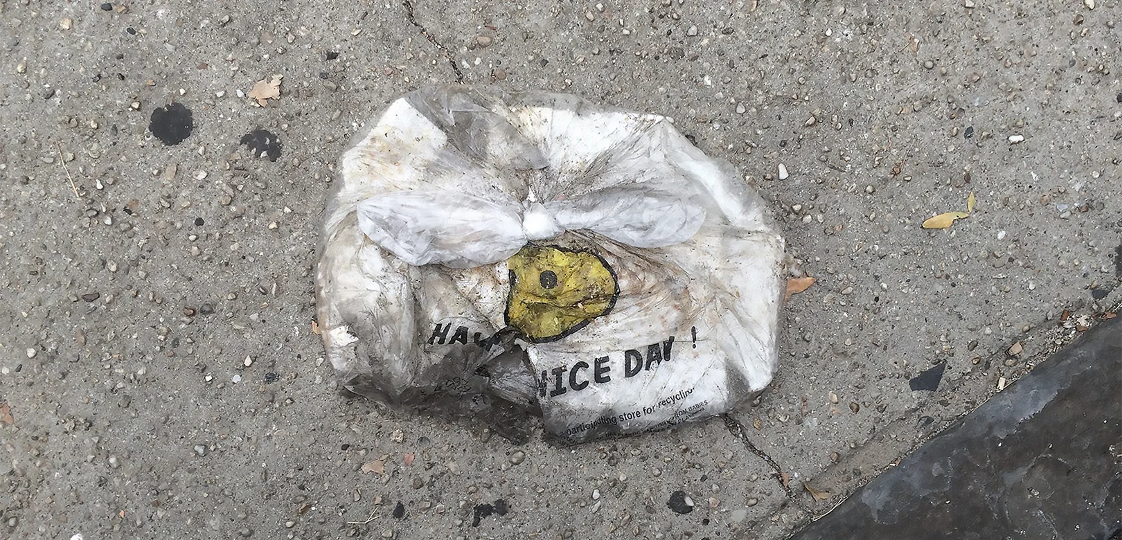 Humanizing Pollution:  Plastic Bags of New York