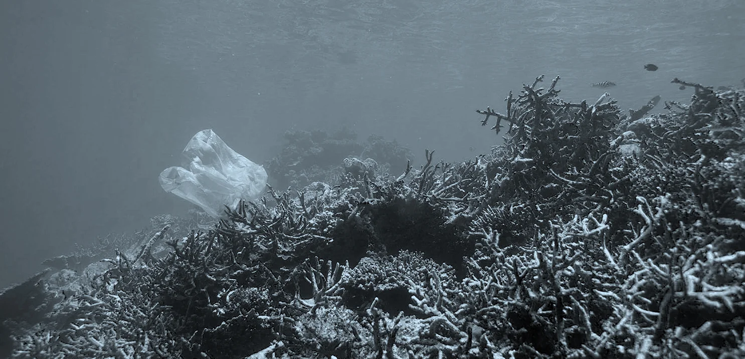 AVOID — Your Life, Minus Bags