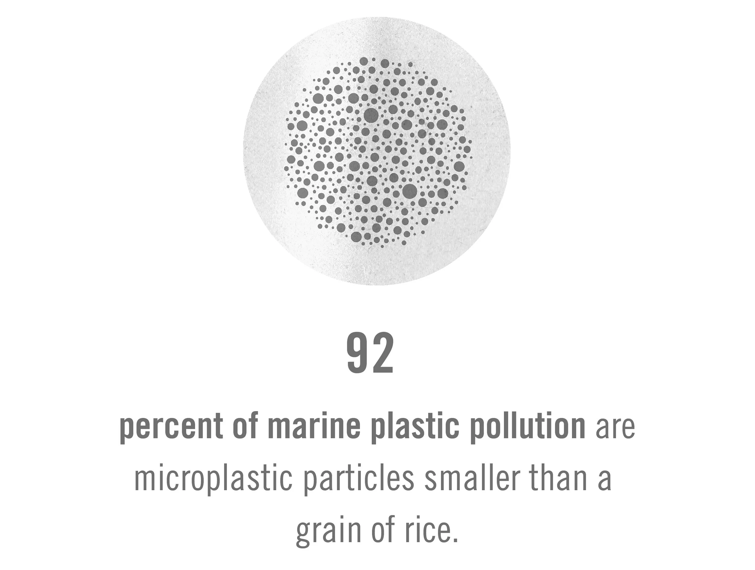 fact5.jpg
