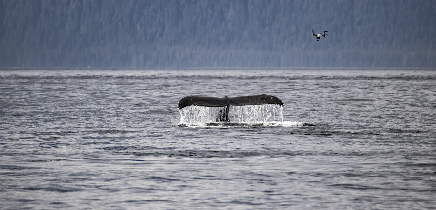 Parley SnotBot® – Alaska