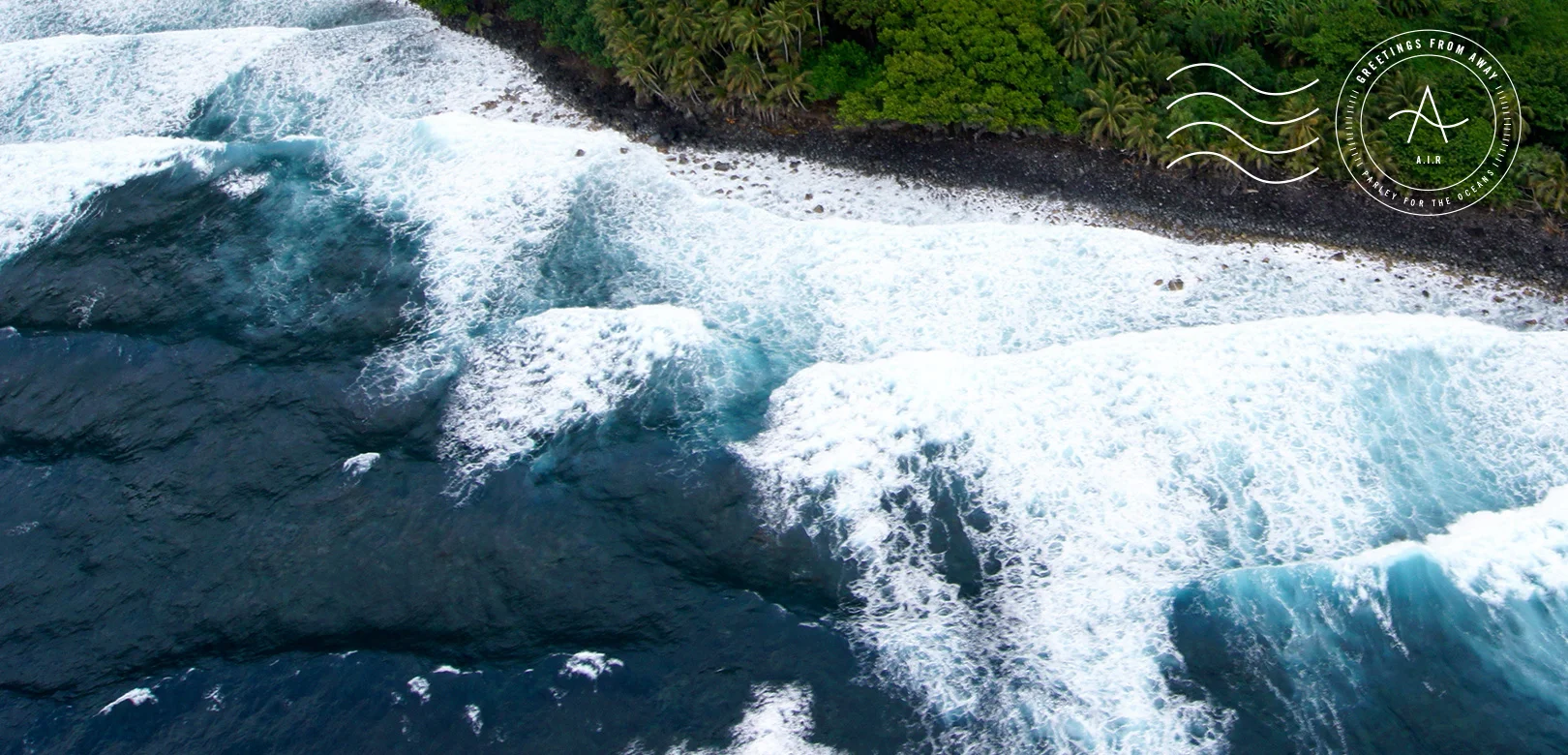 Meet Kahi Pacarro of Sustainable Coastlines Hawaii