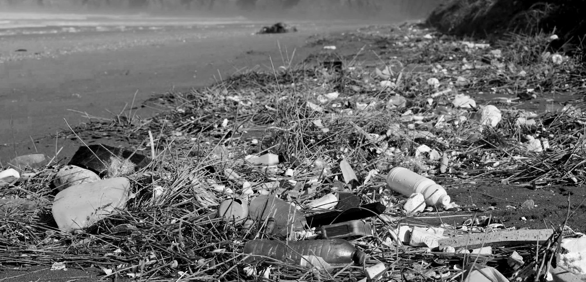 PARLEY x SAS: 2017 AUTUMN BEACH CLEAN