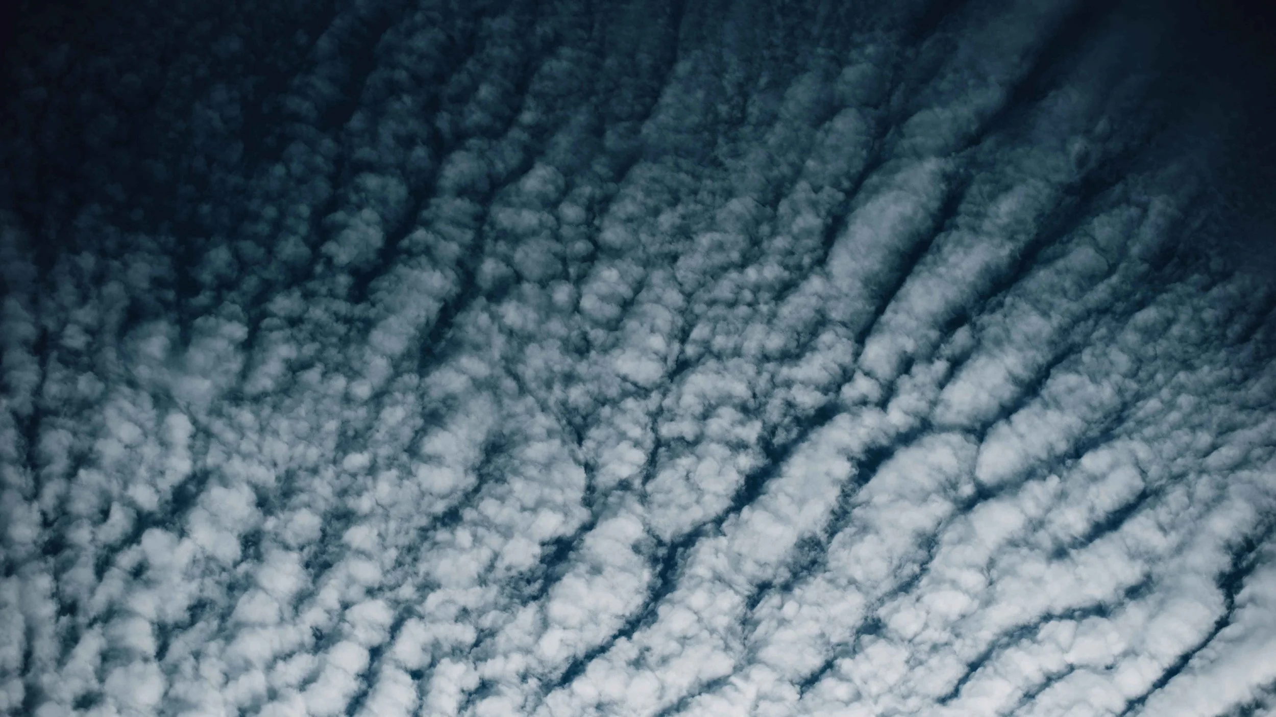 Risky Business: Mining the Deep Sea