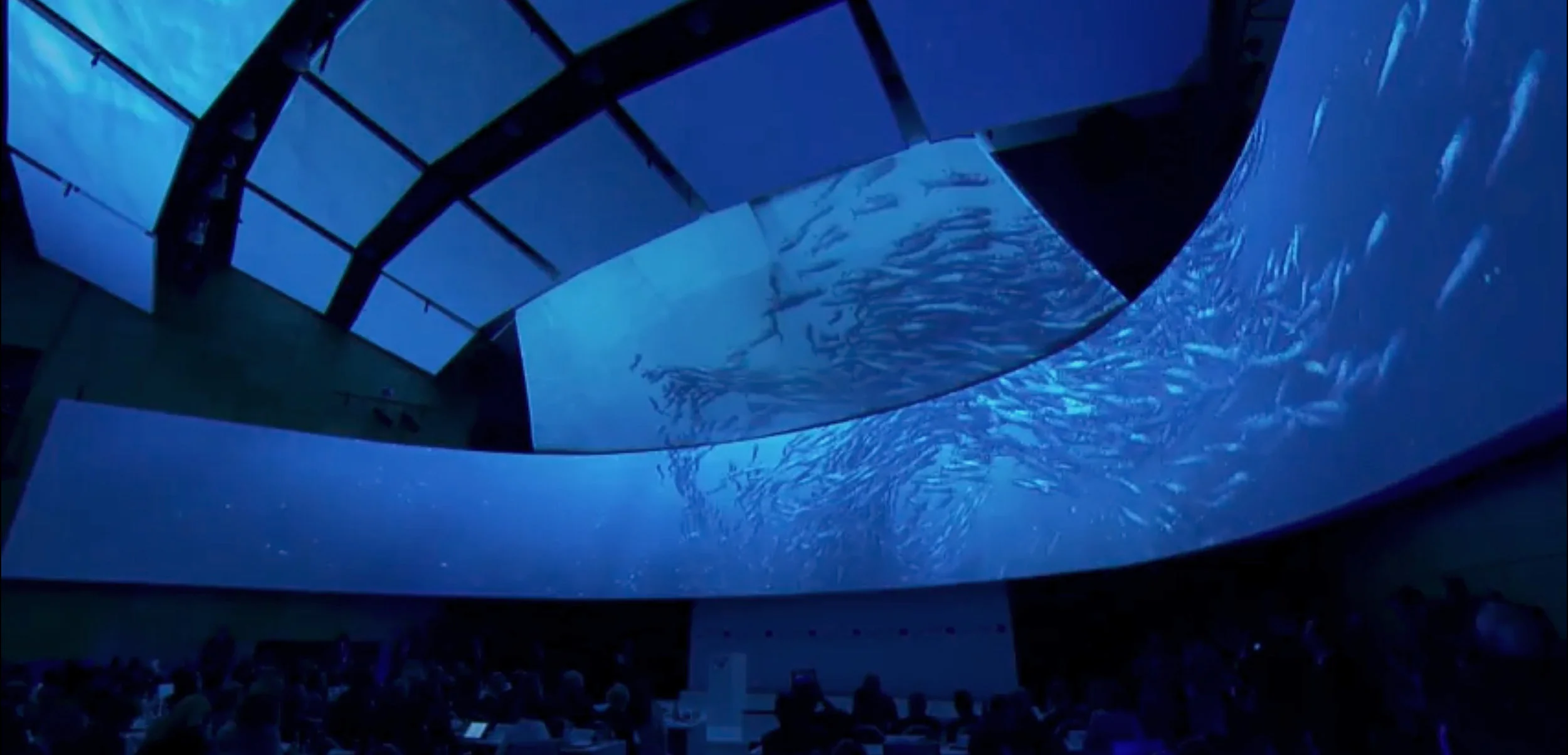 Ocean Optimism at Our Ocean 2017