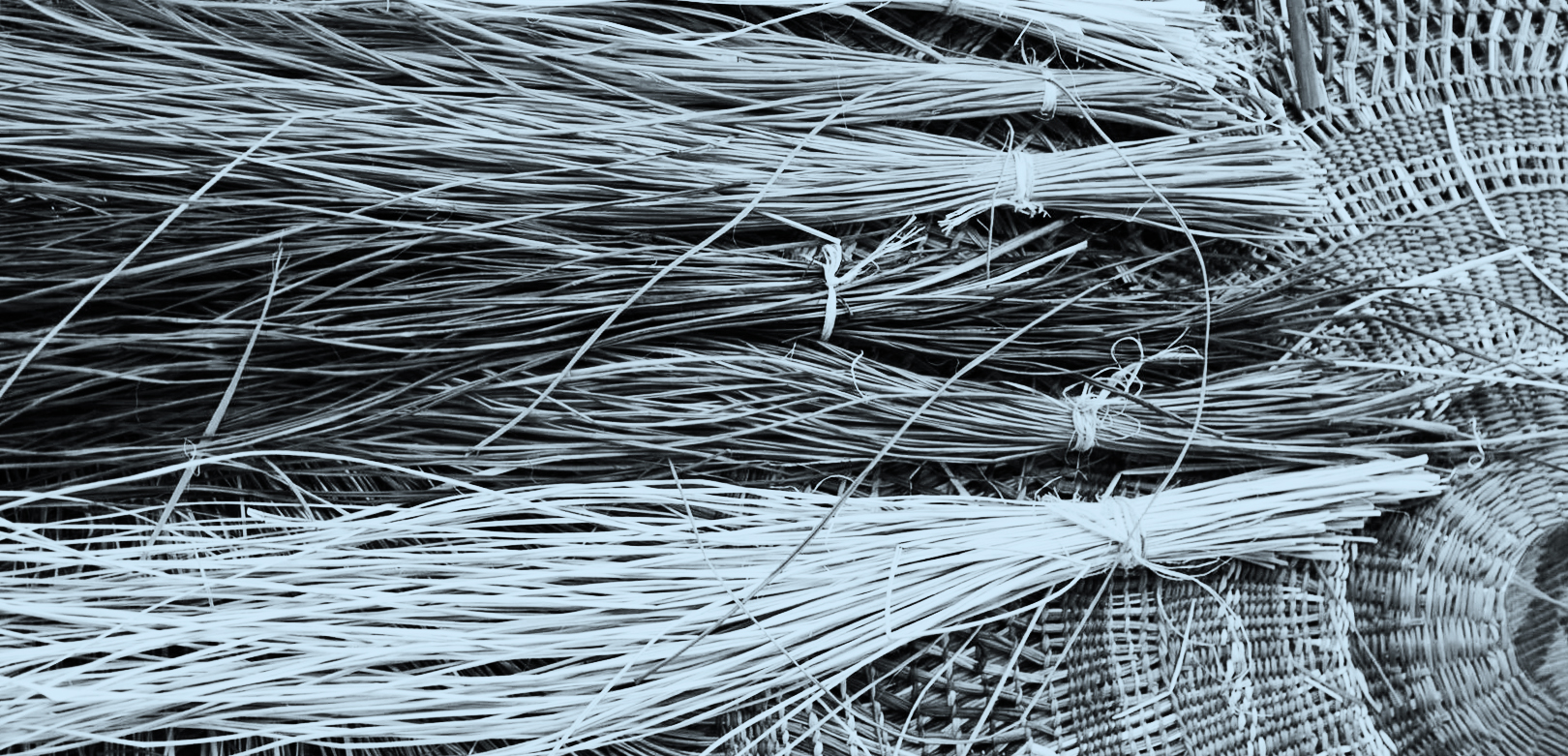 Recrafting Plastic: The PET Lamp Project