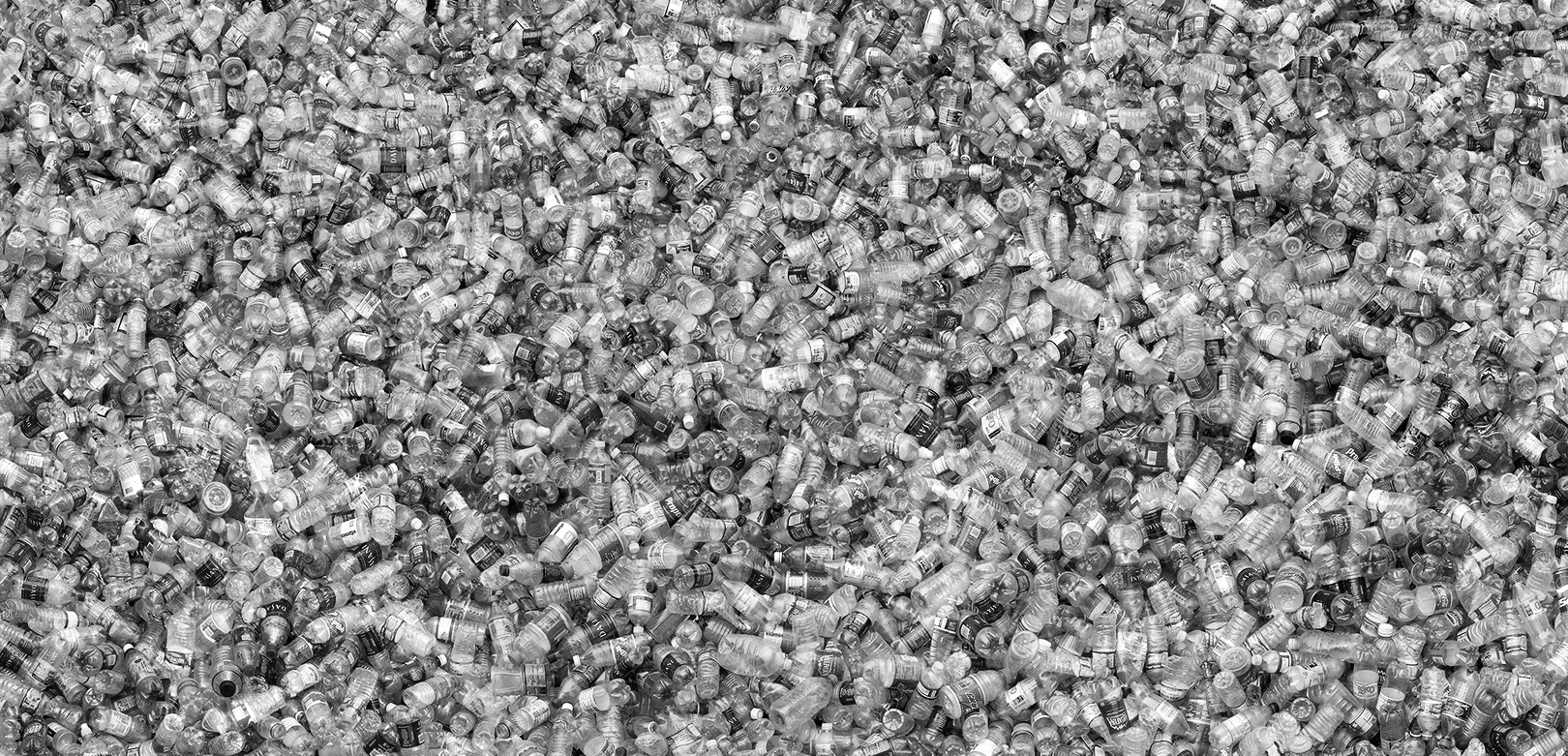 Study: 86% of teens have BPA in their bodies