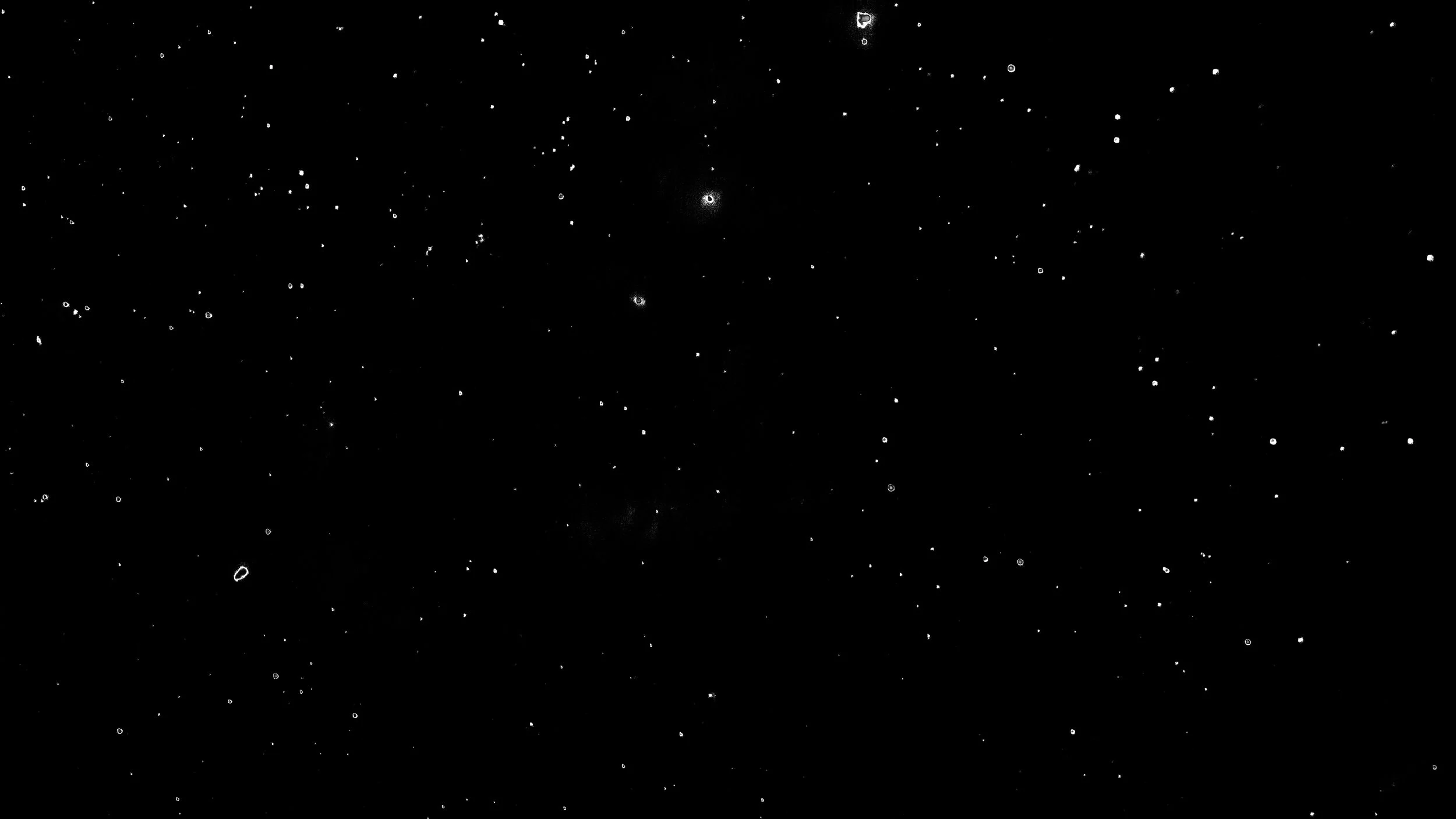 Microplastic particles photograhed in 'Galaxy Count'. Photo credit: Orb Media/Chris Tyree