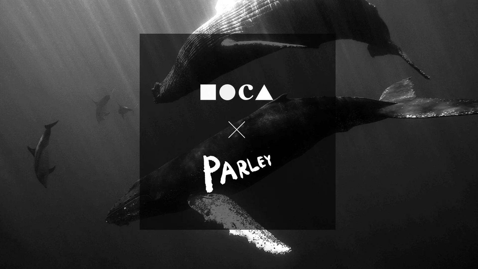 MOCA x Parley: The Idea of the Oceans