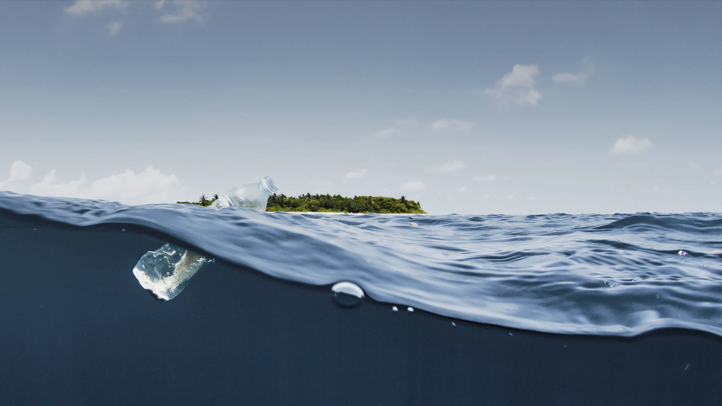 Get Involved and Take Action