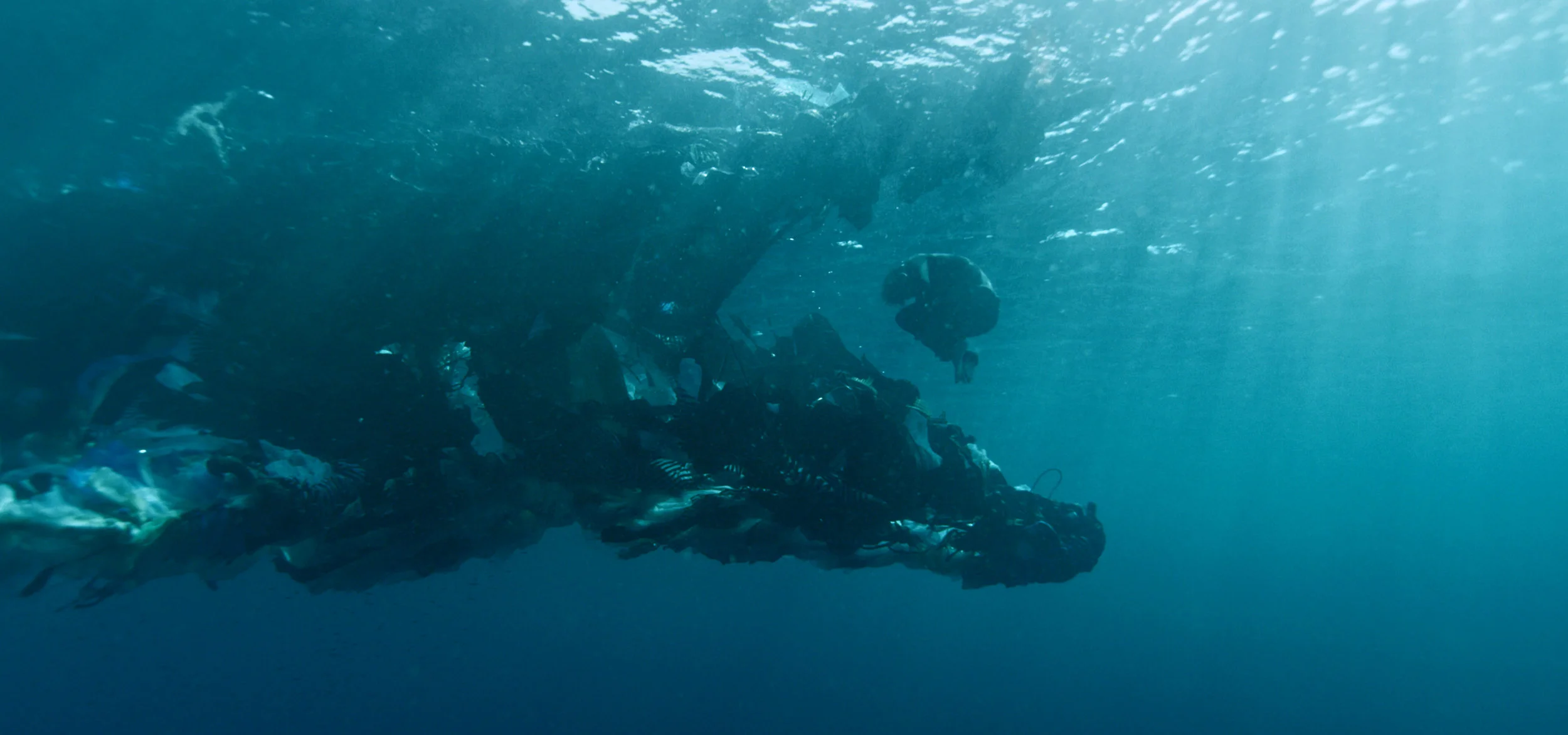 Novo Amor ‘Birthplace’ video is a powerful statement for the oceans