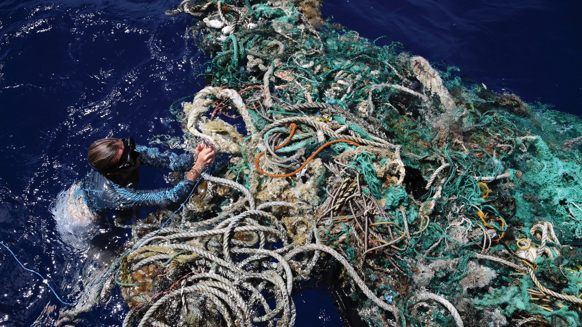 exxpedition: Making the Unseen Seen