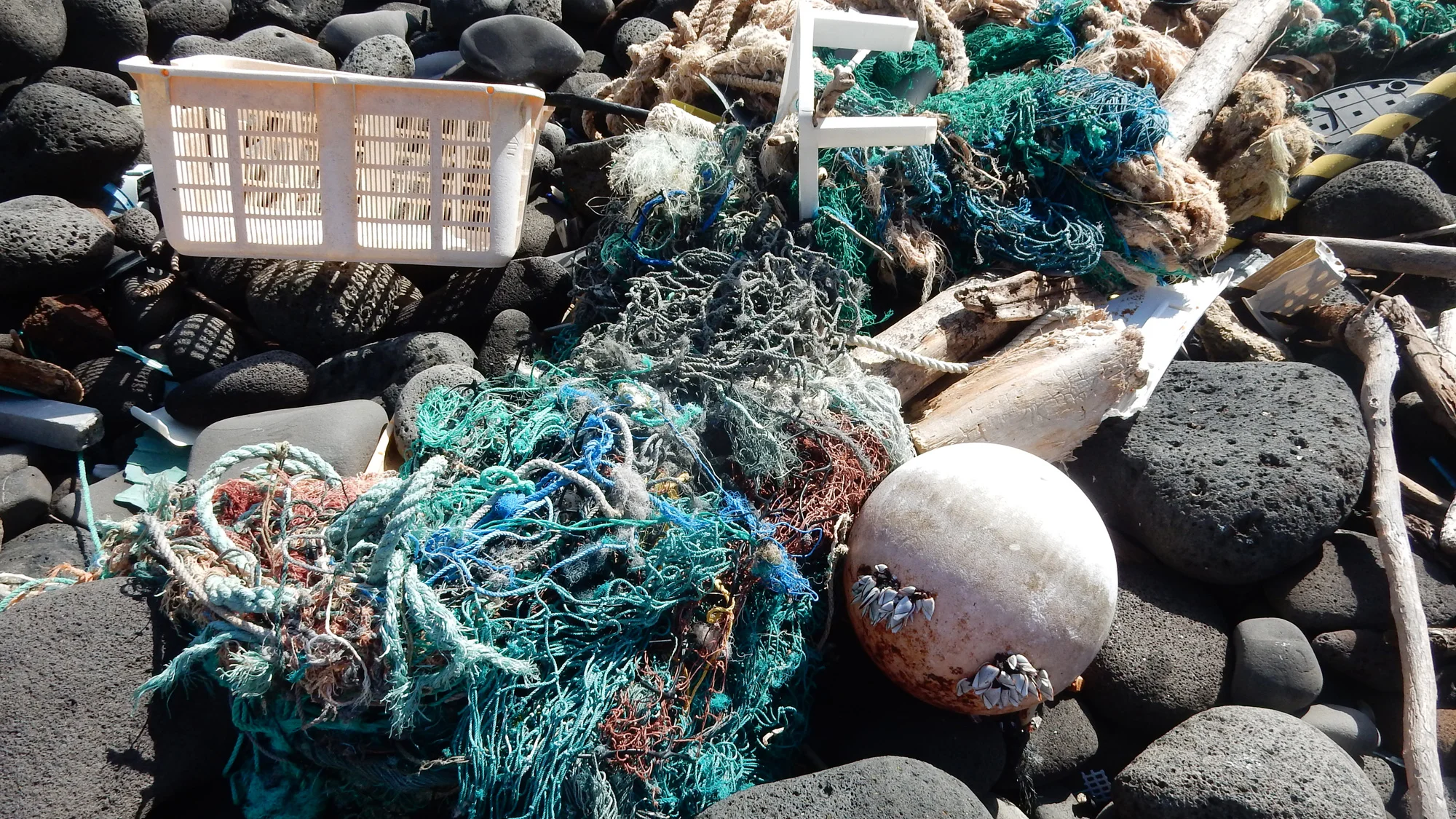 Science vs Plastic: Fishing Nets