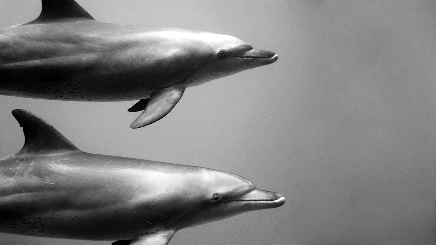 Photo by: Jorge Cervera Hauser