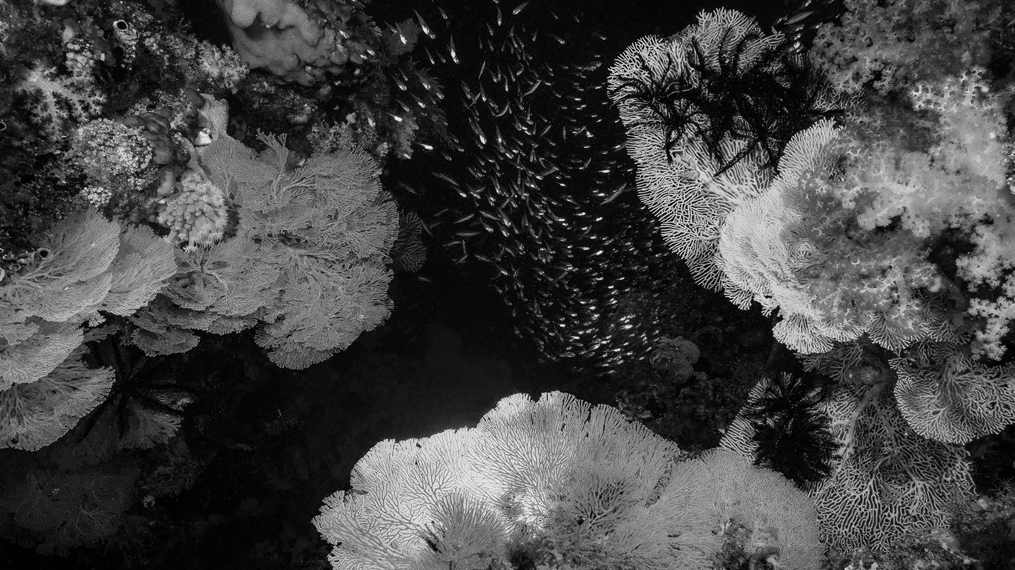 State of the Oceans —&nbsp;Log 7