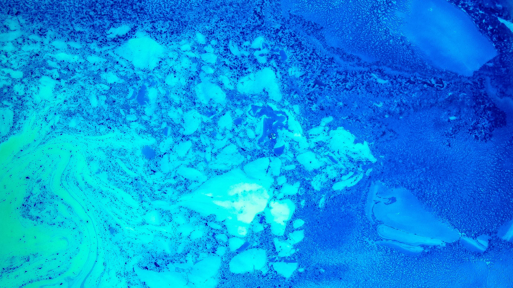 PARLEY X BIOFABRICATE 2018