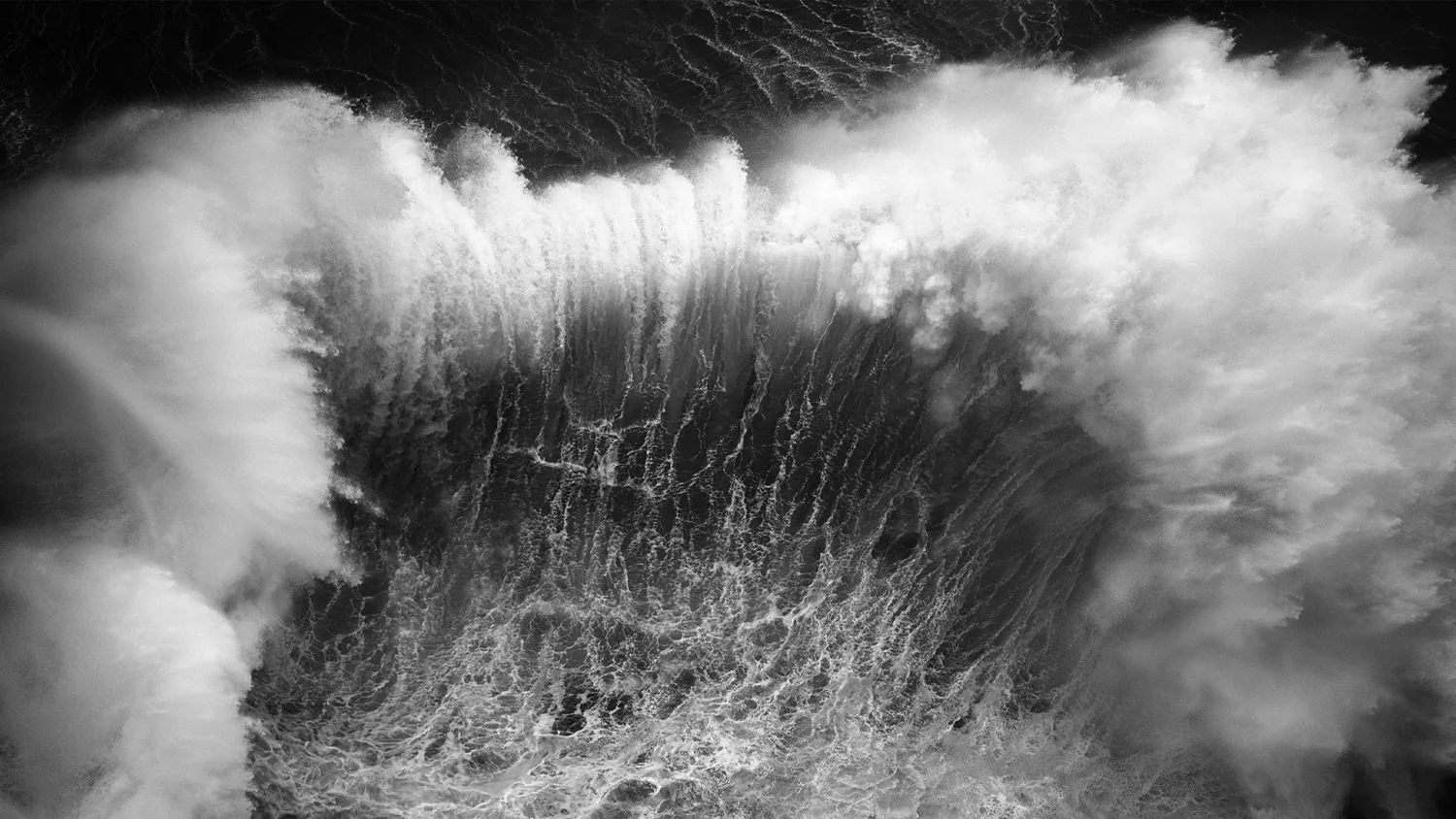 Photo by Luke Shadbolt