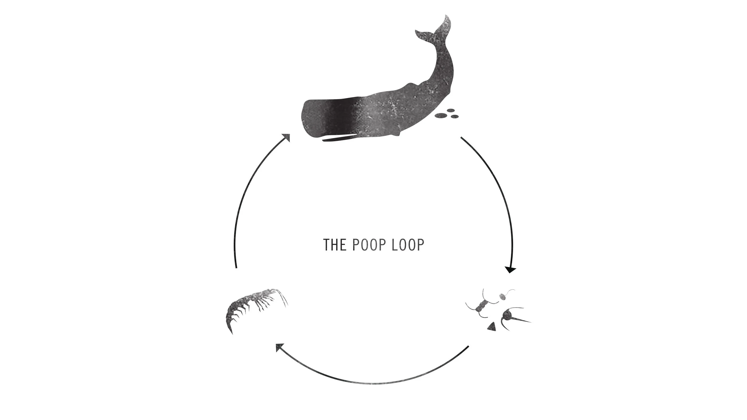 poop-loop.jpg