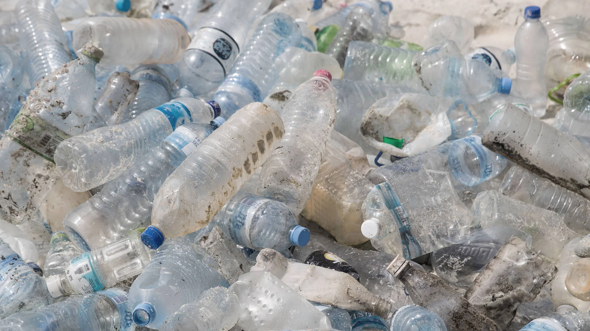 State of the Oceans —&nbsp;Log 26