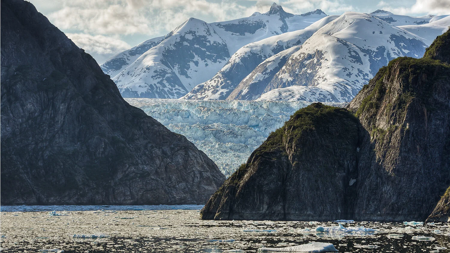 Photo by John Cobb