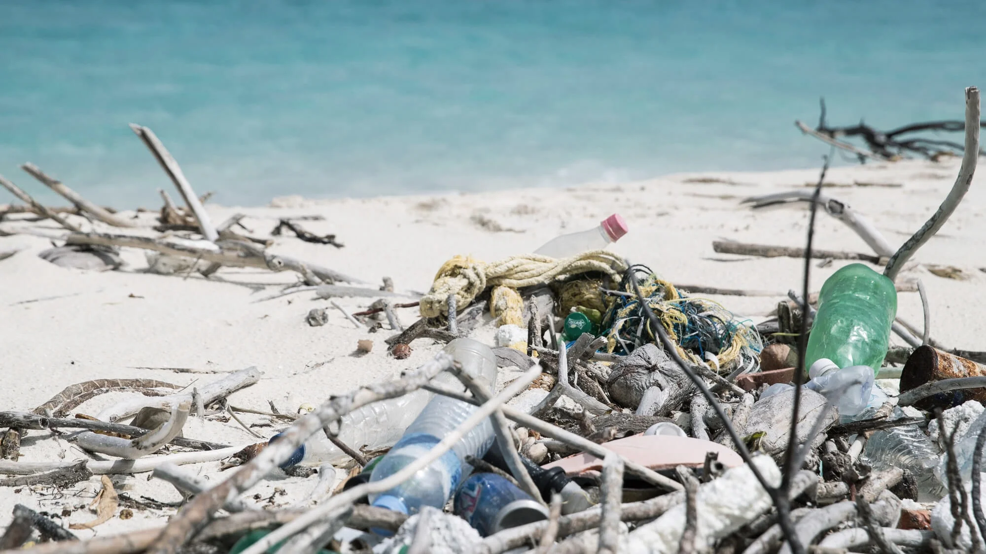 State of the Oceans —&nbsp;Log 32