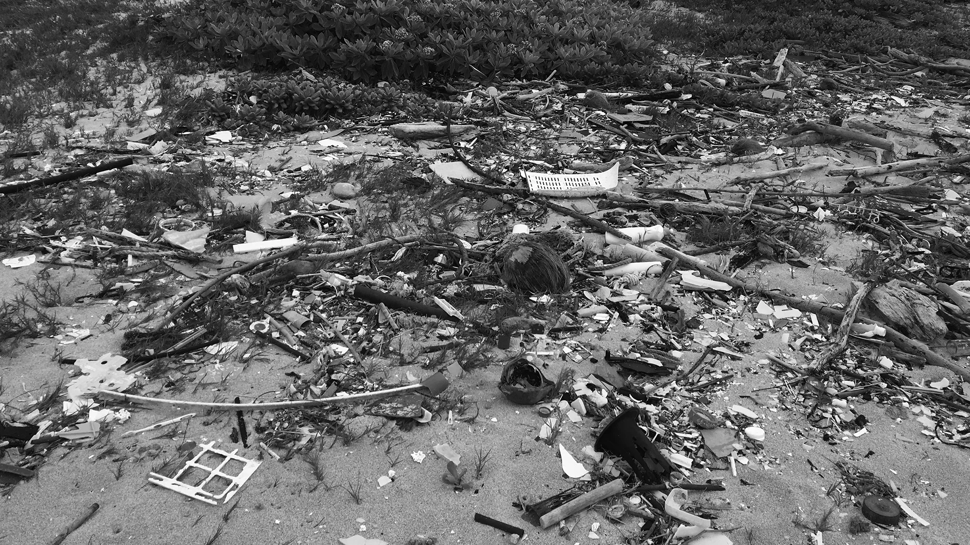 State of the Oceans Special: Plastic Pollution