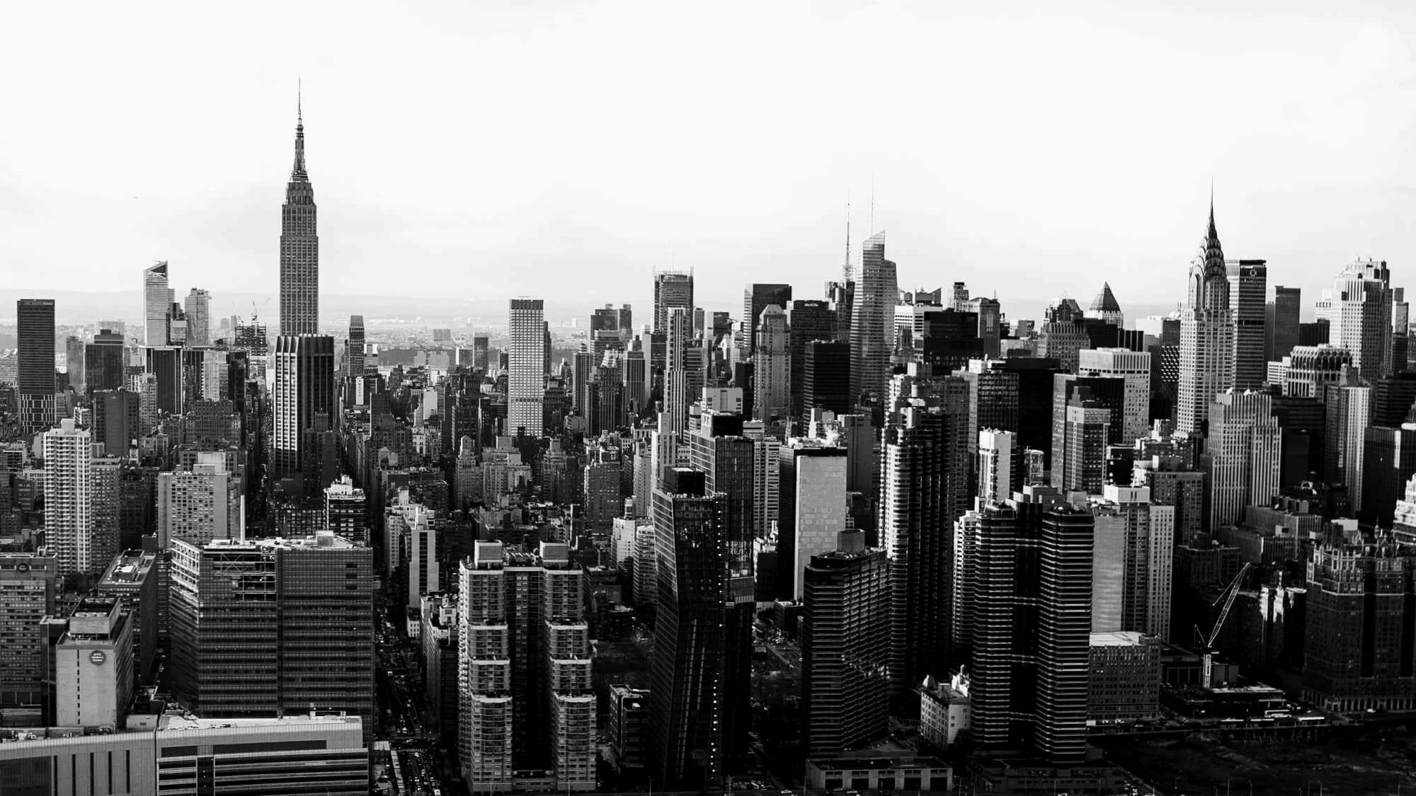 Parley and the DSNY Foundation Join Forces to Support New York Plastic Bag Ban