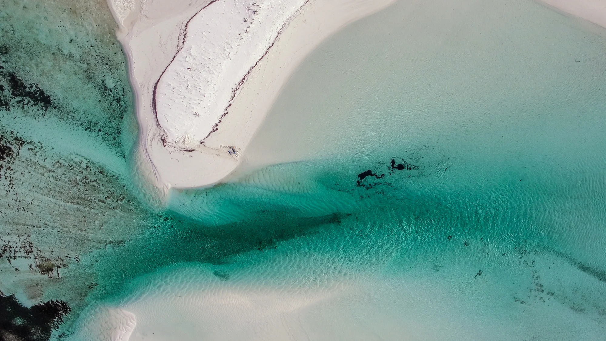 S'well x Parley: The Battle Against Single-Use Plastic Bottles