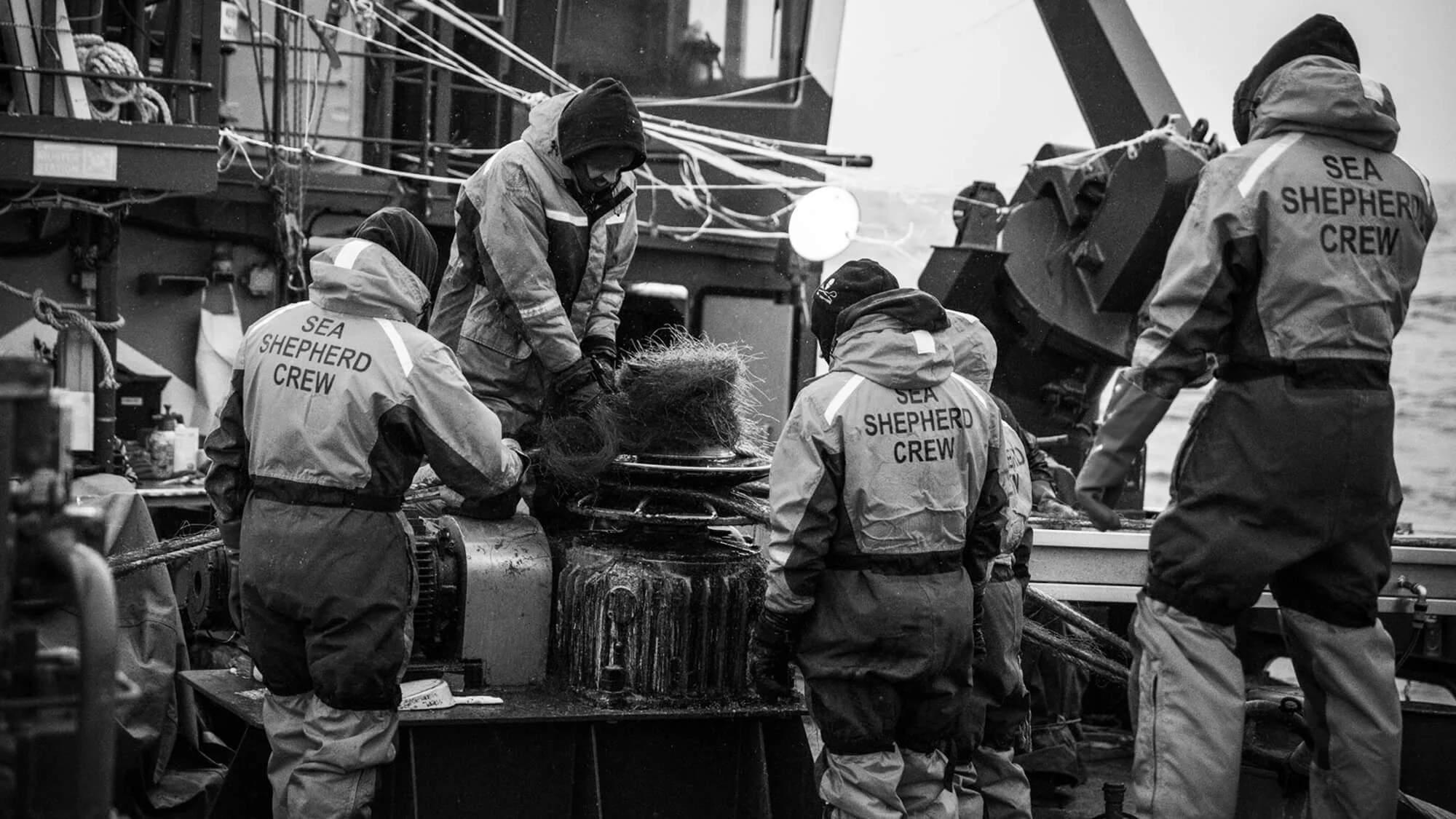 The Network: Captain Paul Watson