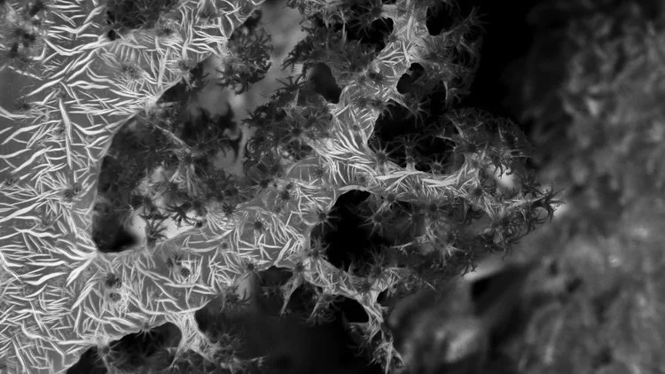 State of the Oceans —&nbsp;Log 30