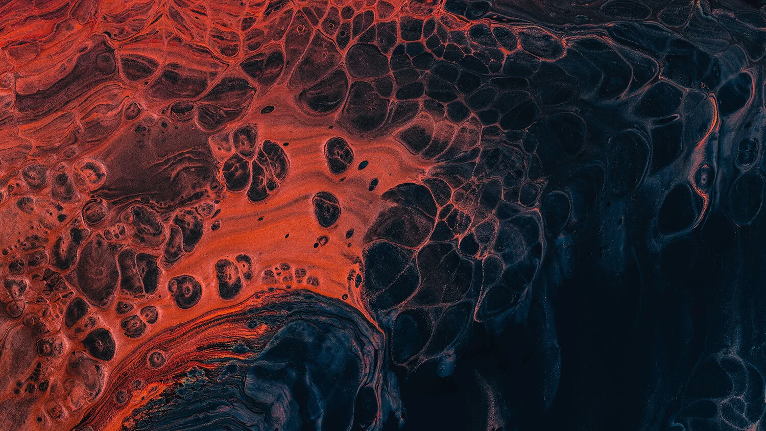 Photo by Paweł Czerwiński