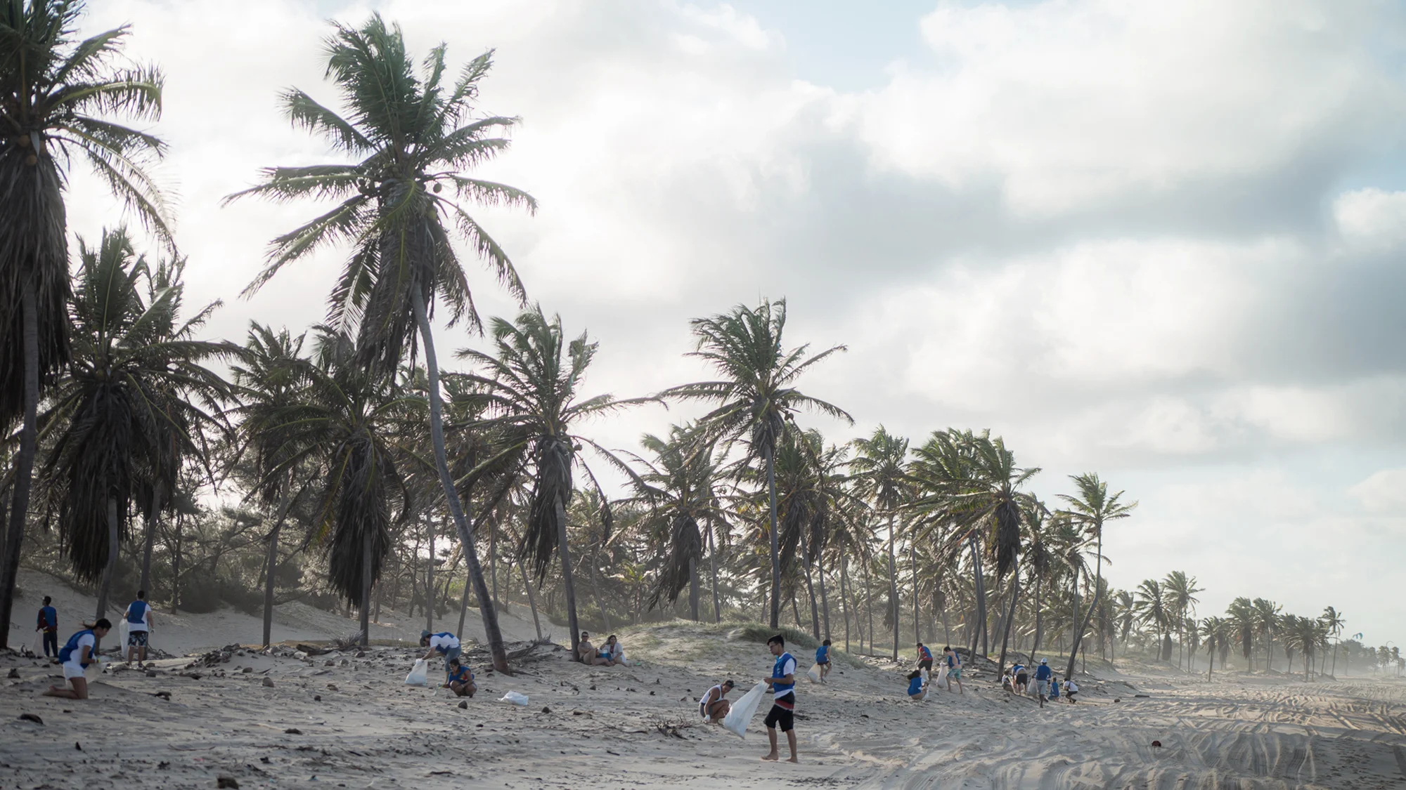 World Cleanup Day 2019