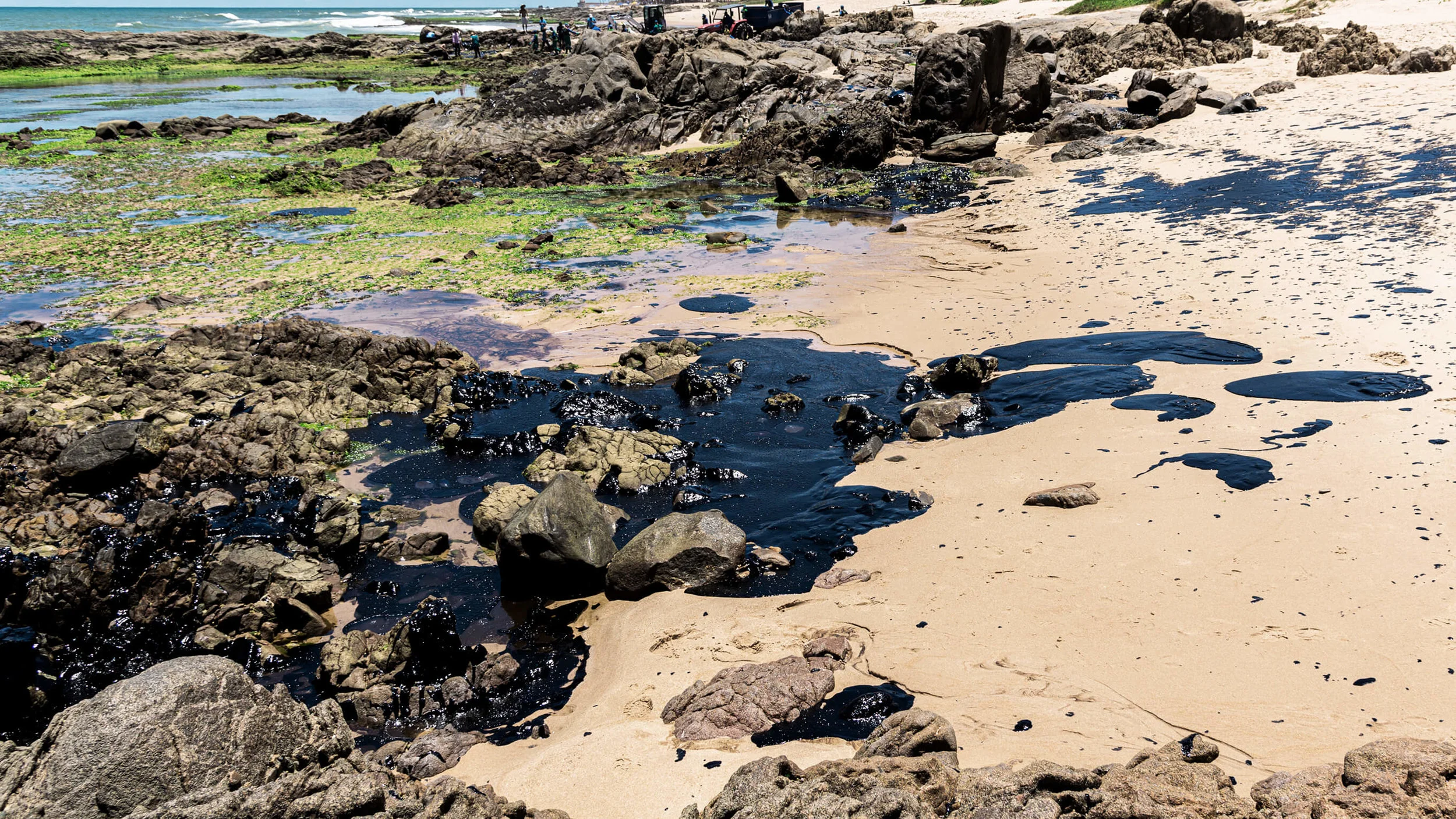 Ocean Emergency: Brazil