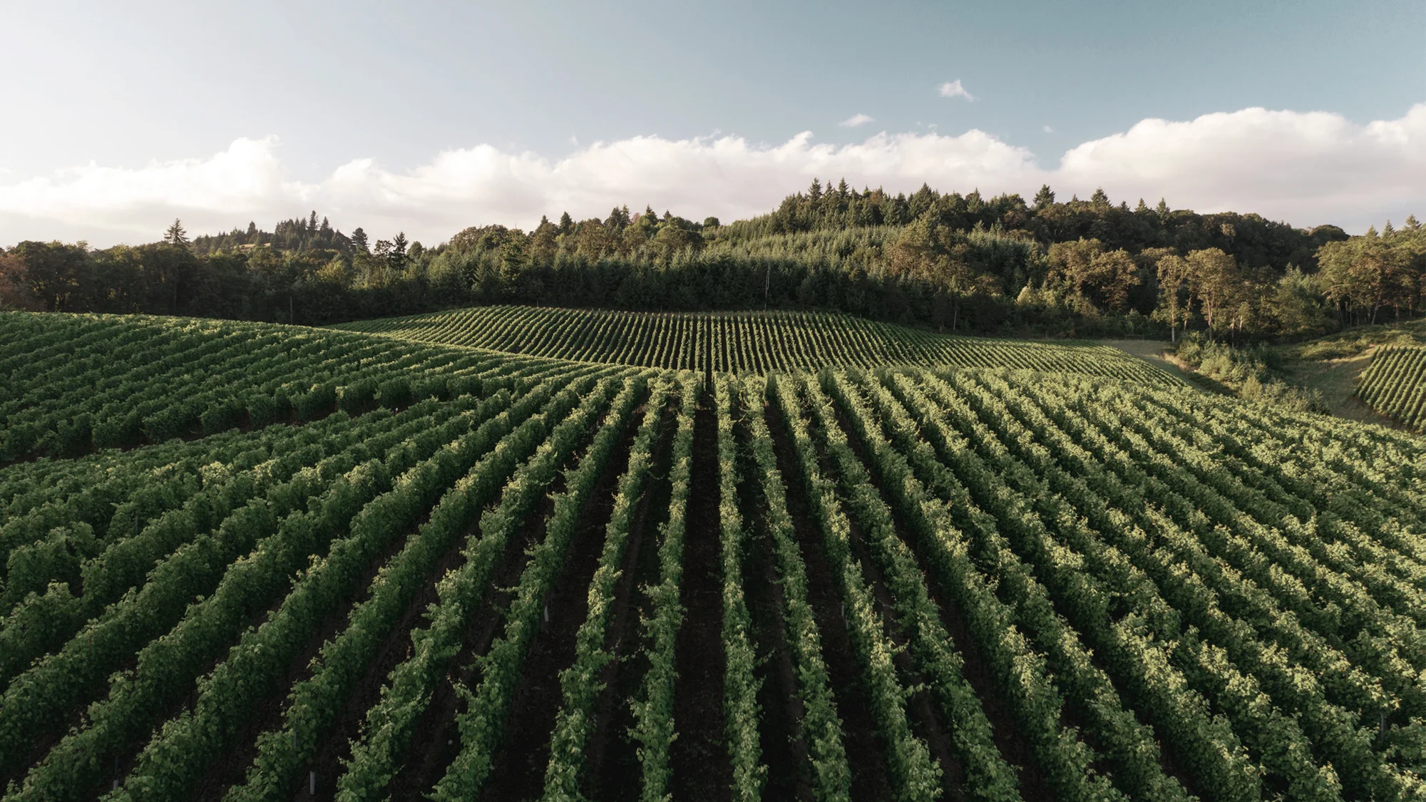 Parley AIR: The Kitchen