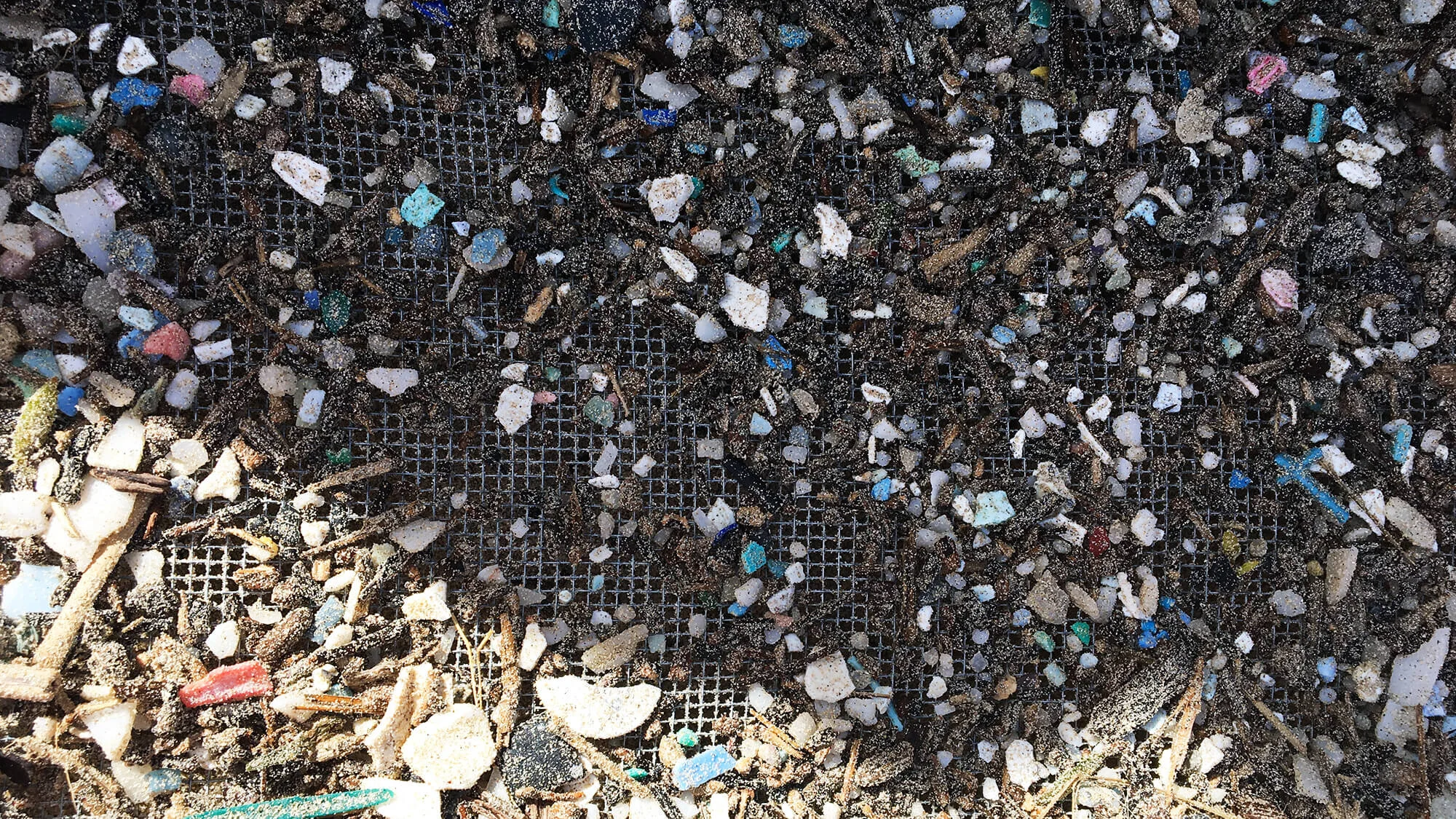 Plastic Invasion: Hawai’i
