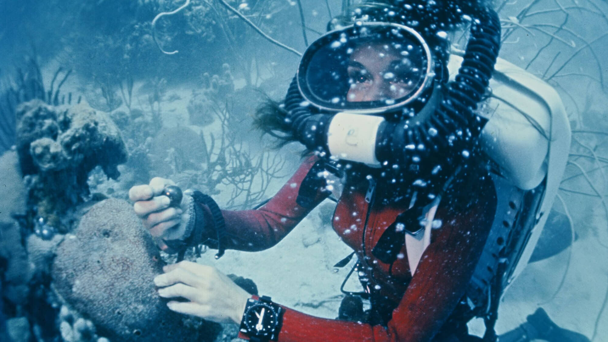 #ParleyLIVE: Sylvia Earle