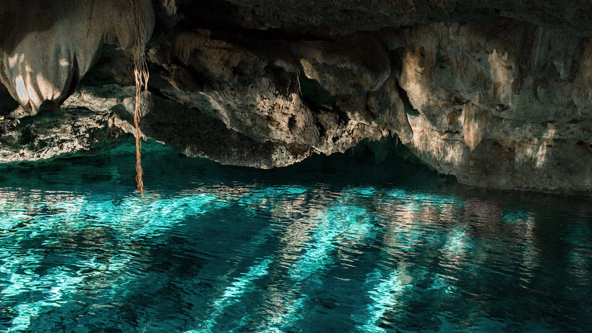 Cenote Season: Diving Deeper