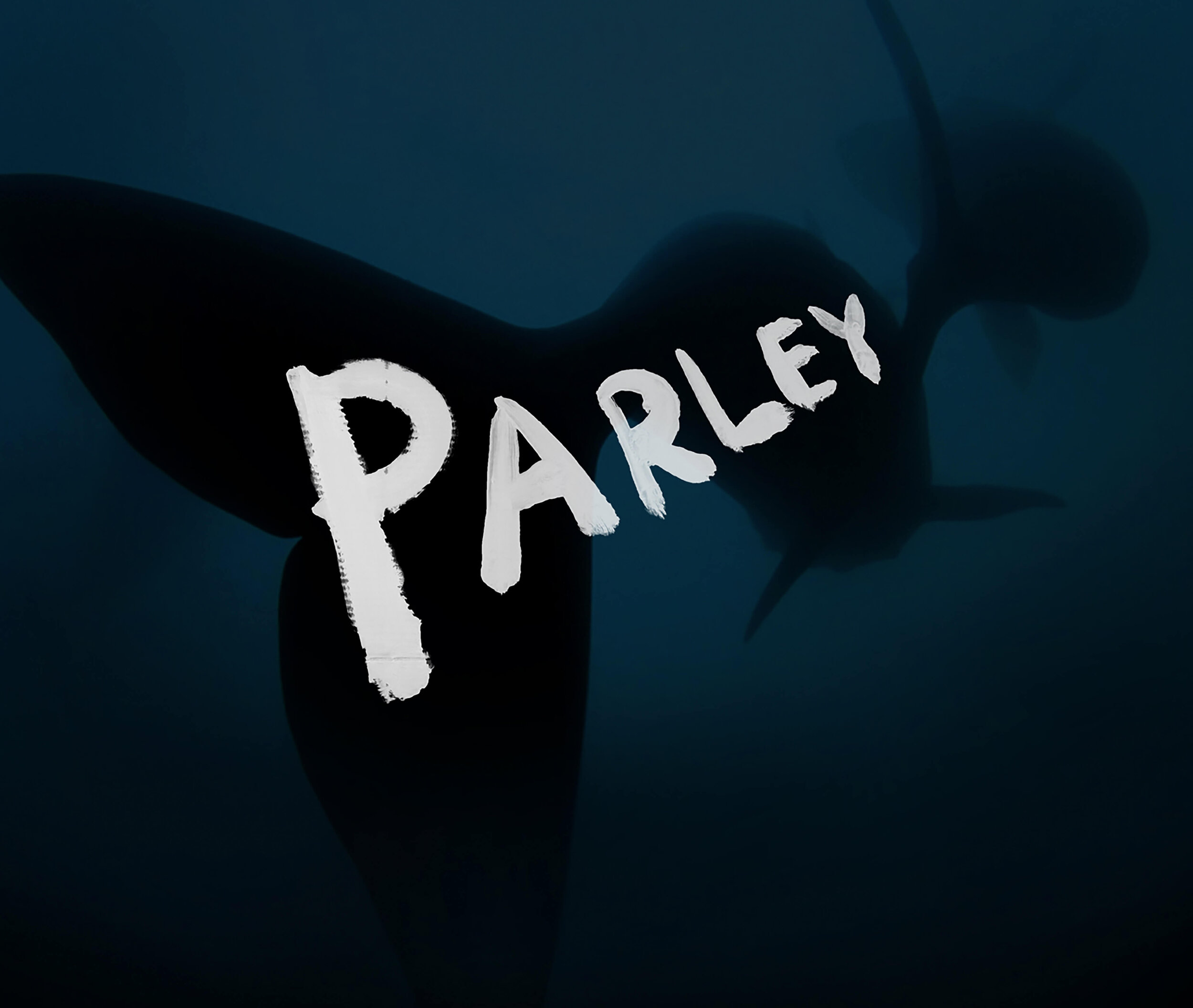 Parley meaning