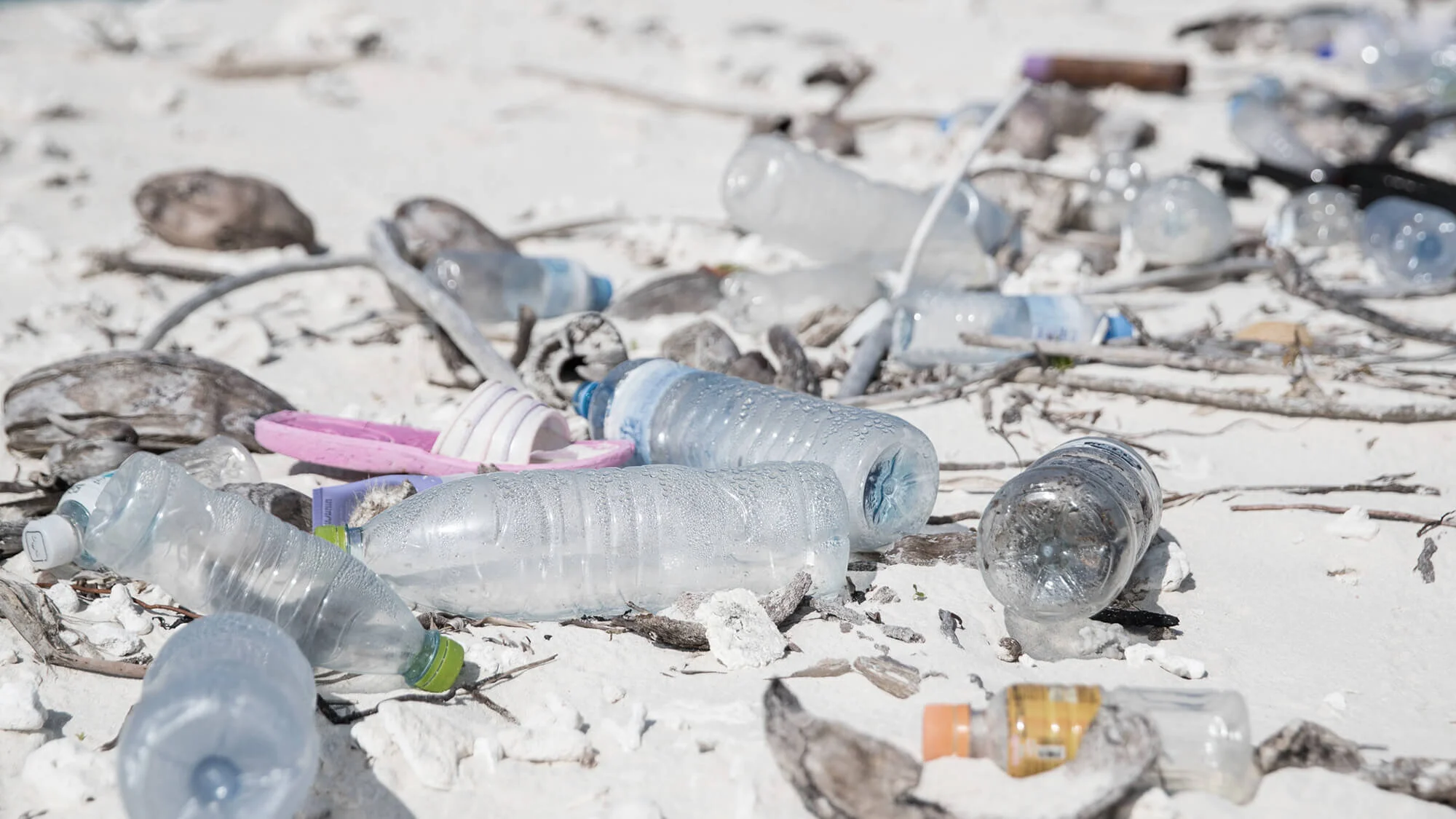 PARLEY AIR EXPANDS IN SOUTH ASIA