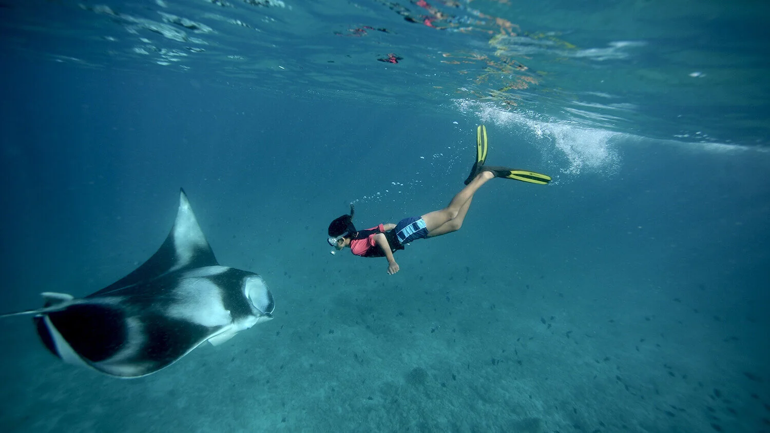 Shaahina Ali: Bringing eco-innovation to the Maldives