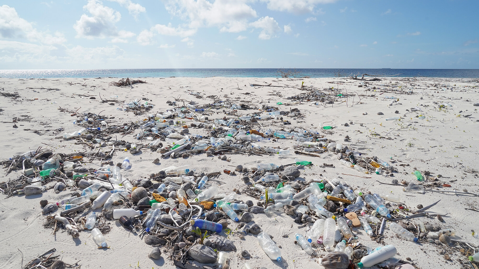 State of the Oceans — Log 92