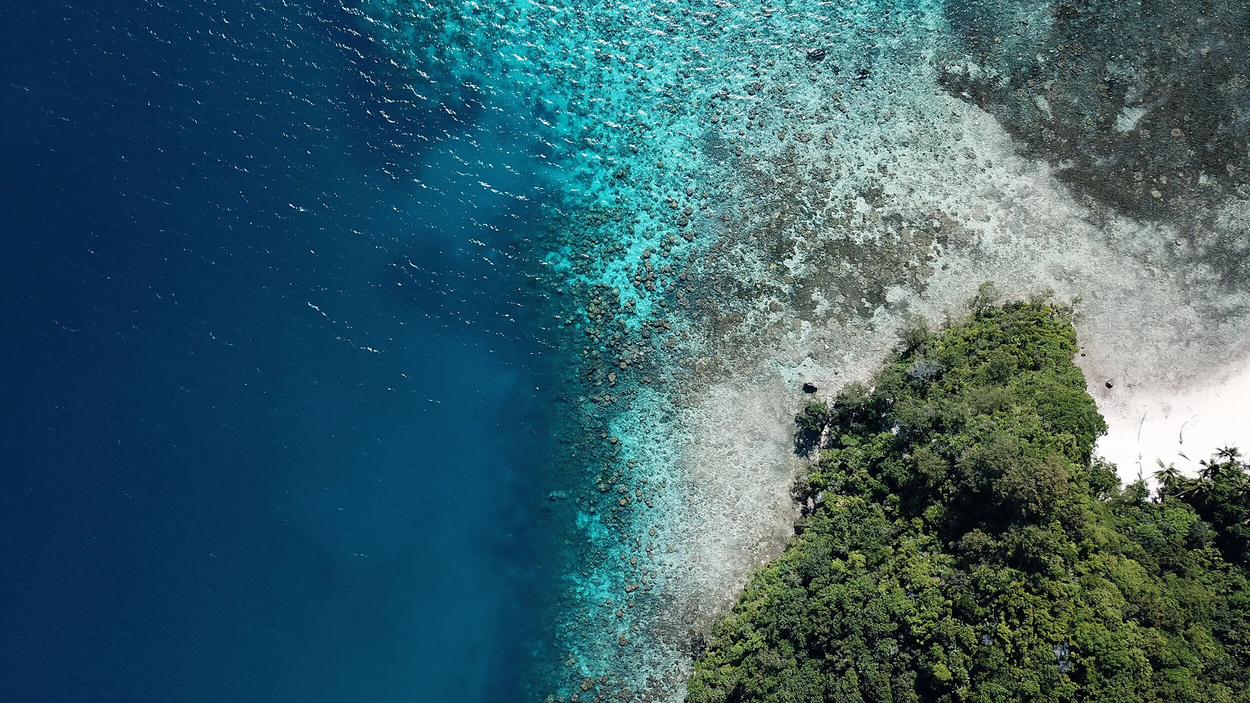 State of the Oceans — Log 102  