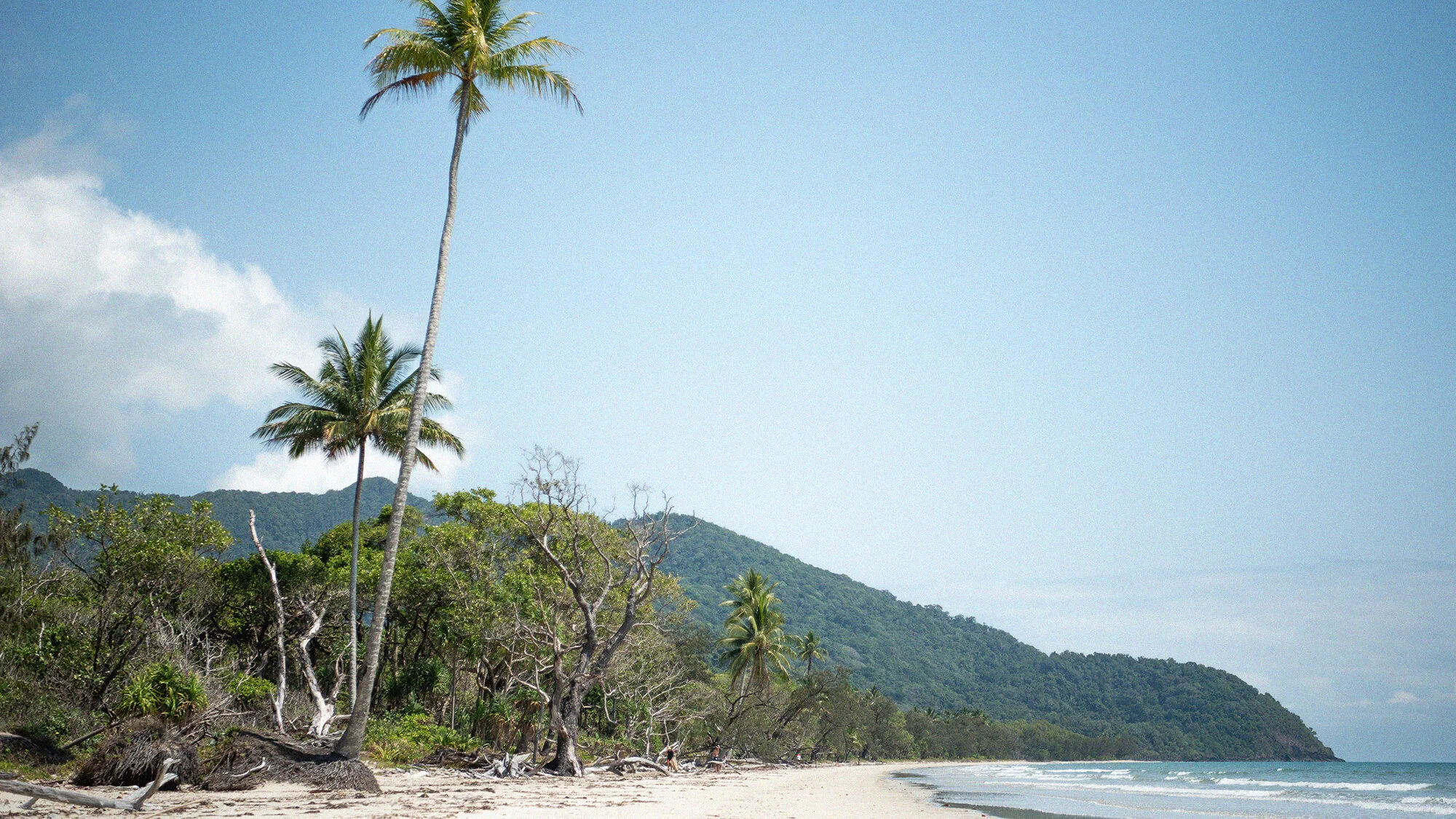 State of the Oceans — Log 104 