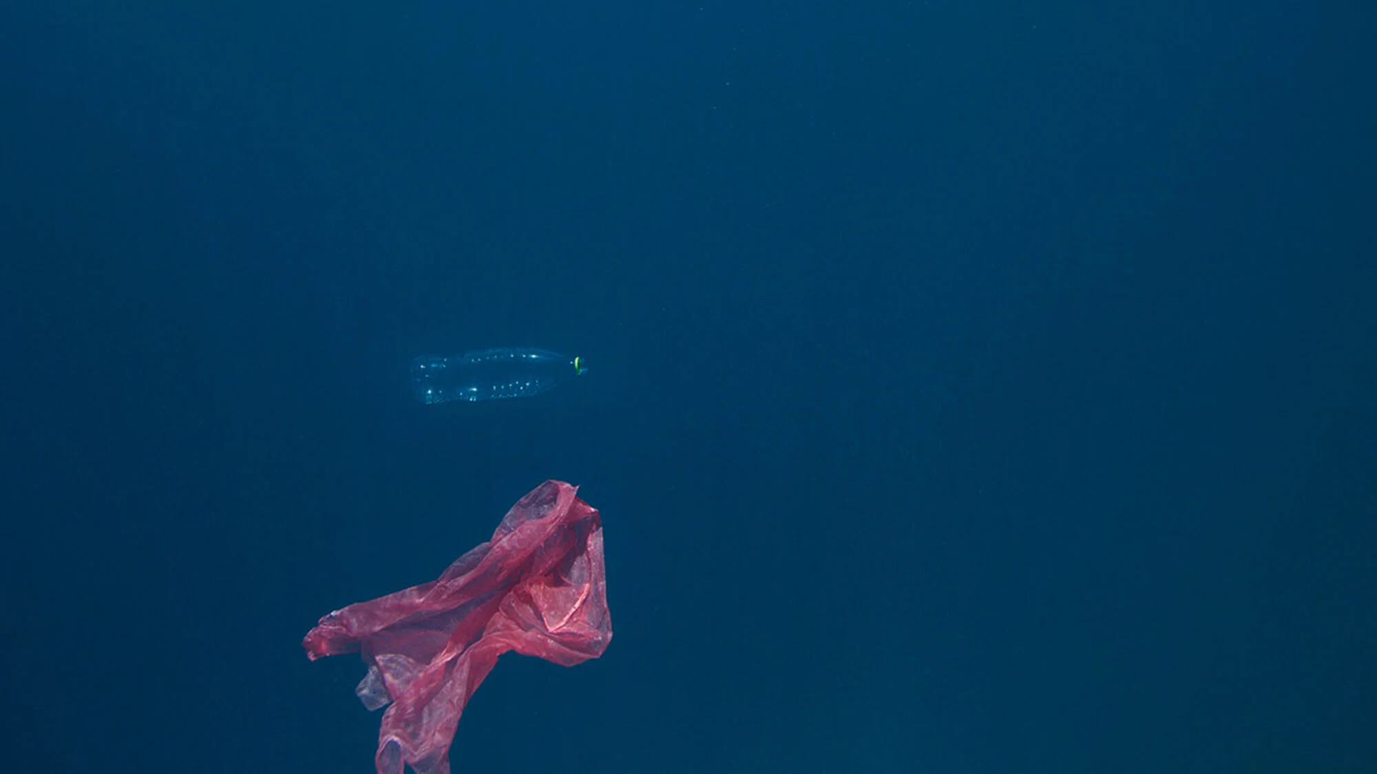 State of the Oceans — Log 106 