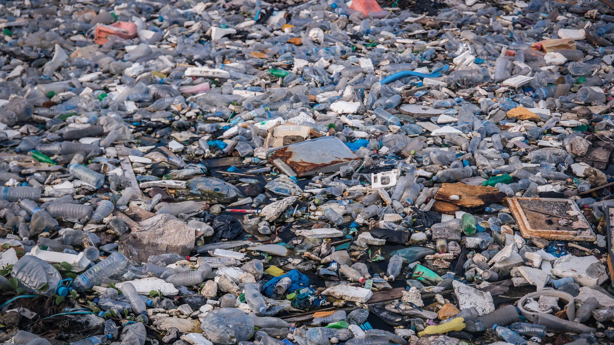 State of the Oceans — Log 108