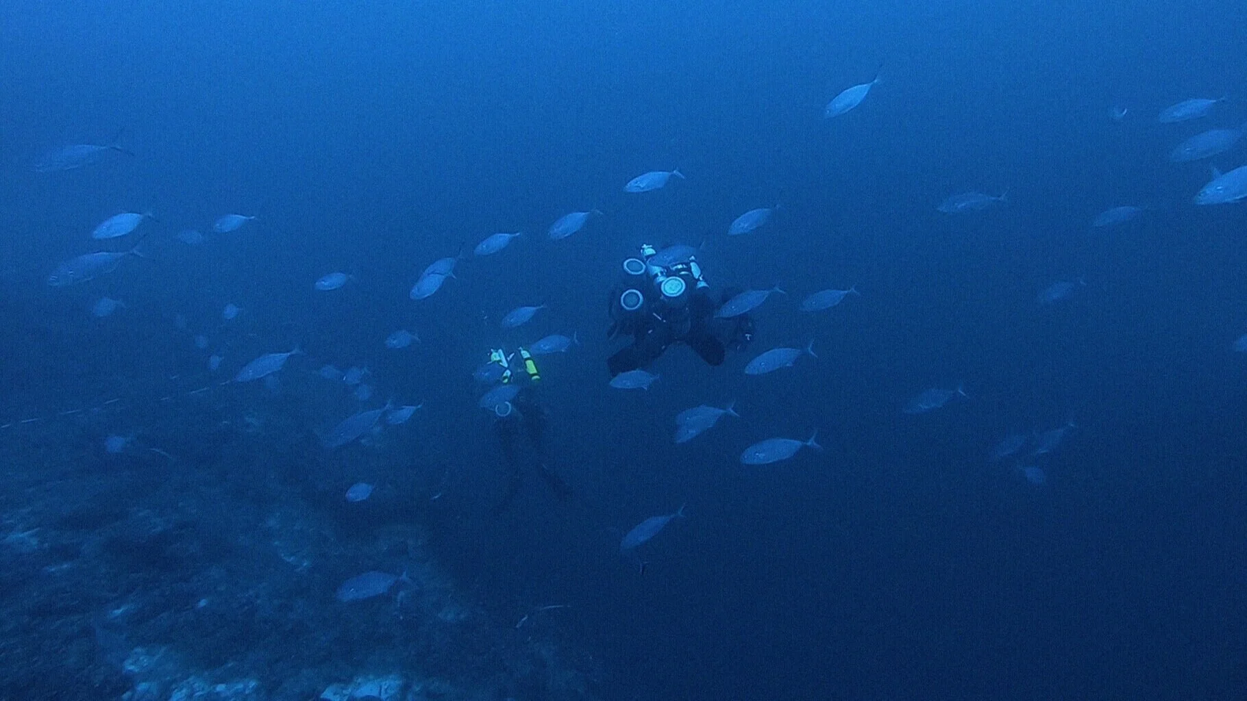 Into the twilight zone